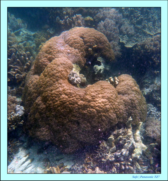 2009    07    Manatabuan 20